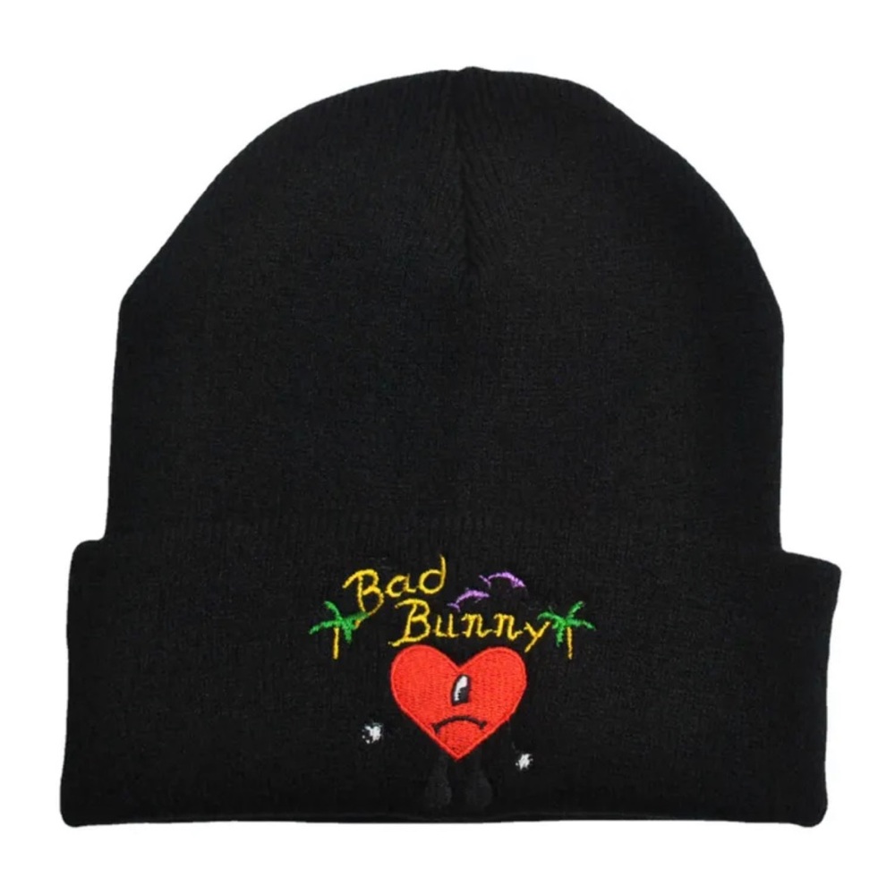 winter hat , bad rabbit hat, unisex winter beanie
   embroidered wool hat